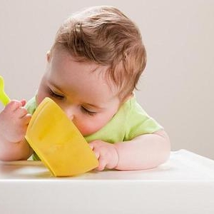 ��ʳר�⣨�ģ�����ʳ������������