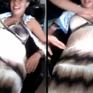�и�������̥���ſ�����