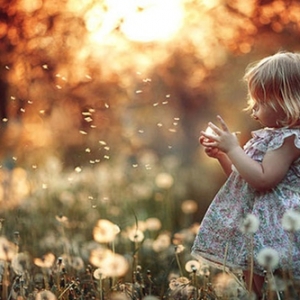 2015���＾��ů�ĵı���˽�һ�������