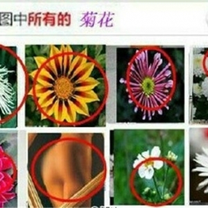 �ȸ߿����ѣ�12306��֤����ȫ��90%�û�